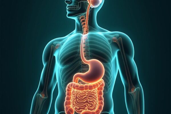 Your Gut Might Be Controlling Your Anxiety — Here’s How